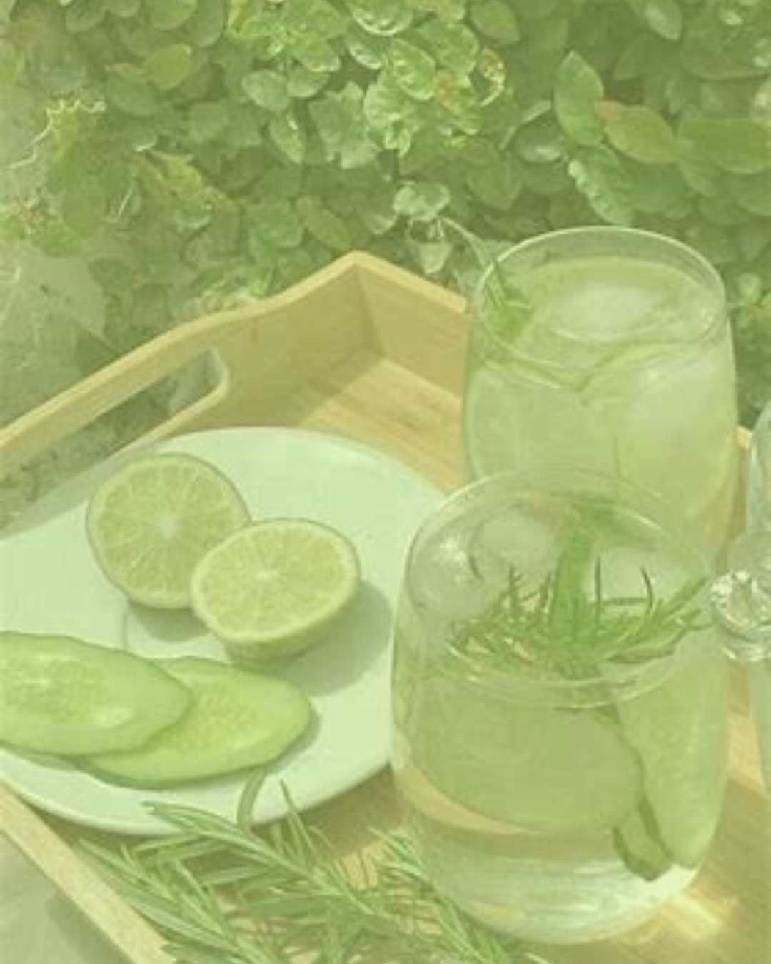 Wellness Brand